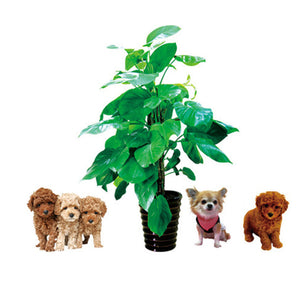 ウォールステッカー 犬 壁紙シール ウォール ステッカー 鉢植え 大きサイズウォールスタッカー 動物　ラブリーペット犬グリーン葉植物壁デカール紙ホームステッカーアート画像壁画キッズ保育園ベビールーム装飾 壁シール