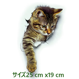 剥せるタイプ　３D シール だまし絵 ビックリ びっくり ウォールステッカー ねこ 立体 絵 猫柄 ネコ柄 キャッツ  ネコ ステッカー 猫シール 猫ステッカー カワイイ ステッカー ペット 動物 トリックアート 絵画 ネコ絵 キャット【inte_D05】