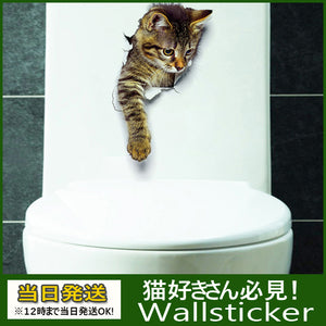 剥せるタイプ　３D シール だまし絵 ビックリ びっくり ウォールステッカー ねこ 立体 絵 猫柄 ネコ柄 キャッツ  ネコ ステッカー 猫シール 猫ステッカー カワイイ ステッカー ペット 動物 トリックアート 絵画 ネコ絵 キャット【inte_D05】