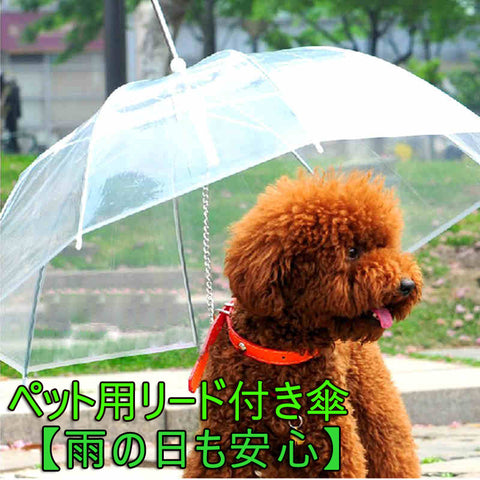 【雨、雪の日も安心】梅雨 ペット用傘　にゃんこ＆わんちゃんお散歩用傘 ペットアンブレラ 透明系 直径75cm 折りたたみ可能 コンパクト収納可能 超撥水 風邪防止 小型犬と猫に適用 雨の日も濡れずに散歩でき、リードも付いているから安心 【autumn_D1810】