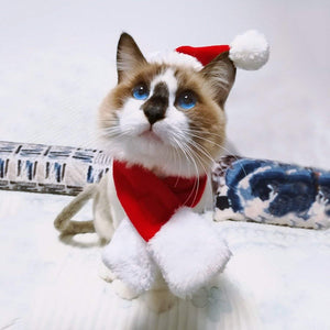 ペット クリスマス帽子 ペット コスプレ帽子 スカーフ付き かぶりもの 仮装グッズ ペットパーティーグッズ サイズ調節可能 柔らか かわいい お誕生日 プレゼント 記念日 変身 猫 ウサギ 小型犬対応 レッド