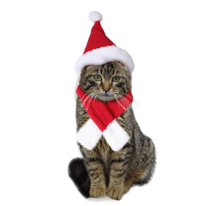 ペット クリスマス帽子 ペット コスプレ帽子 スカーフ付き かぶりもの 仮装グッズ ペットパーティーグッズ サイズ調節可能 柔らか かわいい お誕生日 プレゼント 記念日 変身 猫 ウサギ 小型犬対応 レッド