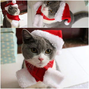 ペット クリスマス帽子 ペット コスプレ帽子 スカーフ付き かぶりもの 仮装グッズ ペットパーティーグッズ サイズ調節可能 柔らか かわいい お誕生日 プレゼント 記念日 変身 猫 ウサギ 小型犬対応 レッド