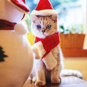 ペット クリスマス帽子 ペット コスプレ帽子 スカーフ付き かぶりもの 仮装グッズ ペットパーティーグッズ サイズ調節可能 柔らか かわいい お誕生日 プレゼント 記念日 変身 猫 ウサギ 小型犬対応 レッド