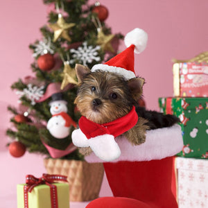 ペット クリスマス帽子 ペット コスプレ帽子 スカーフ付き かぶりもの 仮装グッズ ペットパーティーグッズ サイズ調節可能 柔らか かわいい お誕生日 プレゼント 記念日 変身 猫 ウサギ 小型犬対応 レッド