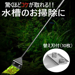 スクレーパー 水槽 プロレイザー苔 コケ 取り 掃除 除草 除去 約66ｃｍ 替え刃付 10枚付きクリーニング ケア セット アクアリウム ガラス面掃除【熱帯魚 アクアリウム 水草 水槽 メンテナンス 掃除 コケ取り 苔取り】【nlife_d19】あす楽
