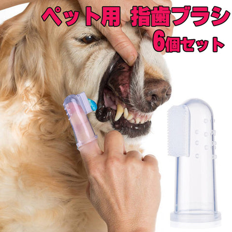 ペット用 指歯ブラシ シリコン製 6個セット ソフトブラシ 収納ケース付き 口腔ケア 犬用歯ブラシ 犬 いぬ 猫 ねこ 犬口ケア ソフトブラシ やわらかい 歯磨き ペット用歯ブラシ 指サックタイプ シリコン 小型犬 中型犬 大型犬