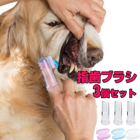 ペット用 指歯ブラシ シリコン製 3個セット ソフトブラシ 収納ケース付き 口腔ケア 犬用歯ブラシ 犬 いぬ 猫 ねこ 犬口ケア ソフトブラシ やわらかい 歯磨き ペット用歯ブラシ 指サックタイプ シリコン 小型犬 中型犬 大型犬