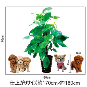 【ペットと緑で癒しを】 ウォールステッカー動物 犬 いぬ イヌ 花 フラワー 植物 動物貼ってはがせるシール式ウォールステッカーだまし絵　大きさサイズ170*180ｃｍ子供部屋　リビング　犬好きがたまらない　幼稚園　保育園　託児所　イベント会場　発表会