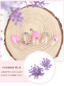 ネイル押し花　（あじさい　放射の花　こでまりの花本物の押し花）ネイルドライフラワー12色156輪 小さめ放射状 押し花+コデマリの花+紫陽花透明収納ケース付き埋め込み用デコネイル  ハンドメイドアクセサリー 全3タイプ選び?