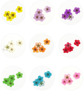 ネイル押し花　（あじさい　放射の花　こでまりの花本物の押し花）ネイルドライフラワー12色156輪 小さめ放射状 押し花+コデマリの花+紫陽花透明収納ケース付き埋め込み用デコネイル  ハンドメイドアクセサリー 全3タイプ選び?