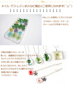 本物の押し花 ドライフラワー　ネイル＆レジンアート用ドライフラワー 四つ葉のクローバー 1０枚入り透明収納ケース付き