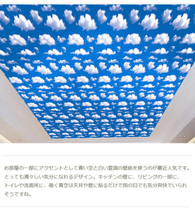 壁紙 シール  壁紙 のり付き  はがせる壁紙　青い空と白い雲壁デコシートはがせる ウォールステッカー おしゃれ 北欧 幅45ｃｍ×長10ｍ