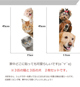 送料無料　ウォールステッカー 3匹の猫と３匹の犬　２枚セットウォールステッカー猫 犬 北欧 賃貸 壁穴 はがせる ママ友 傷隠し 汚れ隠し トリックアート　DIY ネコ好き 犬好きリアル にゃん 壁からキャット ドッキリ ビックリ いたずら