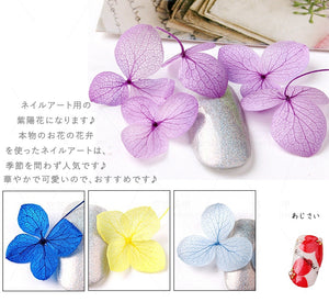 ネイル押し花 紫陽花　ドライフラワー 本物の花　梅雨のシーズンネイル ドライフラワー あじさい レジン ネイル ドライフラワー 12色 36枚入りケース付き