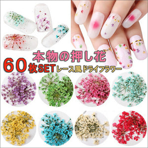 送料無料　押し花　レースドライフラワー　大人気　成人の日ネイル　本物の押し花 小さい押し花が沢山！ネイルアート　ドライフラワー上質押し花６０枚入り１２色×各５枚透明収納ケース 花火大会 お花見【nlife_d19】
