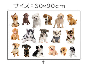 ウォールシール　3D　ウォールステッカー ワンちゃん犬   わんちゃんの写真いっぱい wall stickerウォールペーパー　シールインテリア 壁紙 シール 賃貸OK はがせる 剥がせる DIY 模様替え壁紙シール 即納?