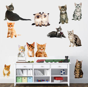 ウォールステッカー　猫　ねこ　世界の品種ピックアップ！　世界のネコちゃん大集合 かわいい猫  シール式 装飾 おしゃれ はがせる 剥がせる DIY ねこ 動物 立体 騙し絵 写真 カフェ ペット屋 玄関 寝室 子供部屋 賃貸OK