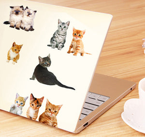 ウォールステッカー　猫　ねこ　世界の品種ピックアップ！　世界のネコちゃん大集合 かわいい猫  シール式 装飾 おしゃれ はがせる 剥がせる DIY ねこ 動物 立体 騙し絵 写真 カフェ ペット屋 玄関 寝室 子供部屋 賃貸OK