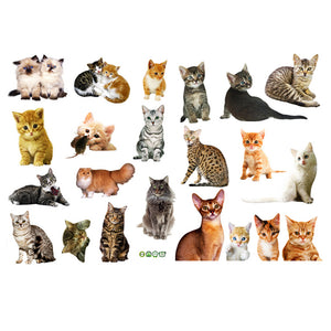 ウォールステッカー　猫　ねこ　世界の品種ピックアップ！　世界のネコちゃん大集合 かわいい猫  シール式 装飾 おしゃれ はがせる 剥がせる DIY ねこ 動物 立体 騙し絵 写真 カフェ ペット屋 玄関 寝室 子供部屋 賃貸OK