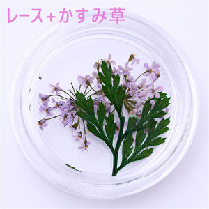 ネイル　押し花　レースドライフラワー　レース&かすみ草のセット　本物の押し花　ネイルアートドライフラワー上質押し花１２色×各3枚透明収納ケース付き?即納！【vd_dl19】