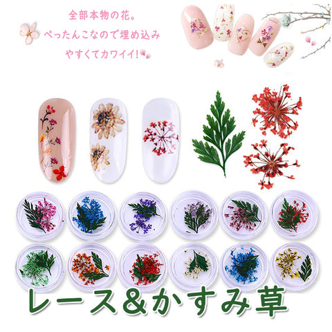 ネイル　押し花　レースドライフラワー　レース&かすみ草のセット　本物の押し花　ネイルアートドライフラワー上質押し花１２色×各3枚透明収納ケース付き?即納！【vd_dl19】