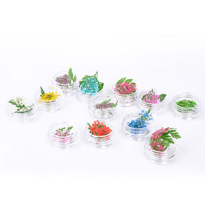 ネイル　押し花　レースドライフラワー　レース&かすみ草のセット　本物の押し花　ネイルアートドライフラワー上質押し花１２色×各3枚透明収納ケース付き?即納！【vd_dl19】
