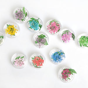 ネイル　押し花　レースドライフラワー　レース&かすみ草のセット　本物の押し花　ネイルアートドライフラワー上質押し花１２色×各3枚透明収納ケース付き?即納！【vd_dl19】