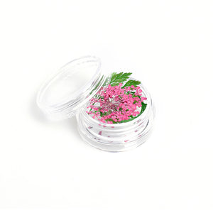 ネイル　押し花　レースドライフラワー　レース&かすみ草のセット　本物の押し花　ネイルアートドライフラワー上質押し花１２色×各3枚透明収納ケース付き?即納！【vd_dl19】