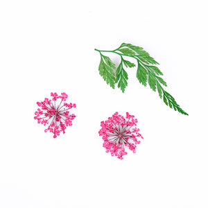 ネイル　押し花　レースドライフラワー　レース&かすみ草のセット　本物の押し花　ネイルアートドライフラワー上質押し花１２色×各3枚透明収納ケース付き?即納！【vd_dl19】