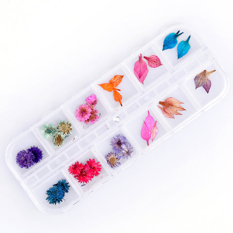 【ネイル屋さんの押し花セット カラフルＭｉｘ１】 お花いっぱい、お手軽春色ネイルを楽しみましょう、（ハルシオン、　カラフルリーフ）ドライフラワーセット【】