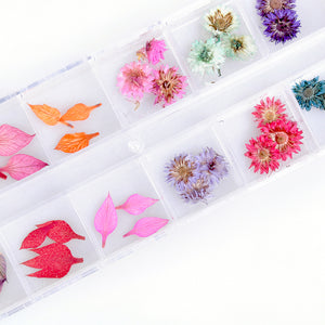 【ネイル屋さんの押し花セット カラフルＭｉｘ１】 お花いっぱい、お手軽春色ネイルを楽しみましょう、（ハルシオン、　カラフルリーフ）ドライフラワーセット【】