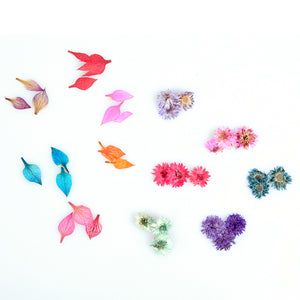 【ネイル屋さんの押し花セット カラフルＭｉｘ１】 お花いっぱい、お手軽春色ネイルを楽しみましょう、（ハルシオン、　カラフルリーフ）ドライフラワーセット【】
