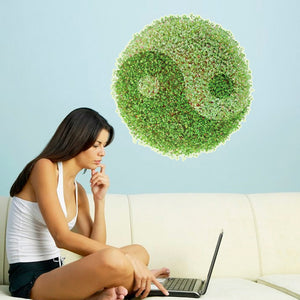 ウォールステッカー 植物 太極図 風水　壁シール　wall sticker ウォールペーパー 壁紙　北欧 グリーン 壁紙 シール