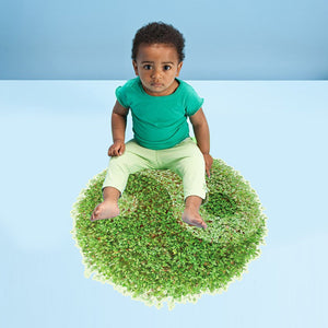ウォールステッカー 植物 太極図 風水　壁シール　wall sticker ウォールペーパー 壁紙　北欧 グリーン 壁紙 シール
