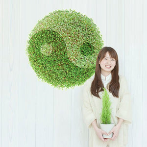 ウォールステッカー 植物 太極図 風水　壁シール　wall sticker ウォールペーパー 壁紙　北欧 グリーン 壁紙 シール