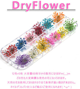 送料無料　押し花　レースドライフラワー　大人気　成人の日ネイル　本物の押し花 小さい押し花が沢山！ネイルアート　ドライフラワー上質押し花６０枚入り１２色×各５枚透明収納ケース 花火大会 お花見【nlife_d19】