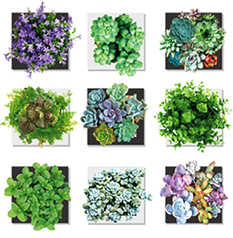 ウォールステッカー 花 植物　壁紙　シール　グリーン　リーフ　観葉植物、額縁、 鉢植え 壁の装飾 おしゃれ 北欧 ポスター シール　ウォールステッカー トイレ壁紙　おしゃれ リビング 洗面所玄関  テレビの廻りに貼る 店舗 インテリア雑貨 賃貸OK