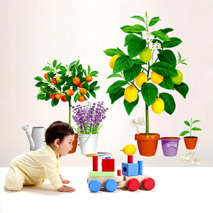 ウォールステッカー 鉢植え　果物の鉢植え レモン オレンジ ラベンダー 植物  北欧  カッティングシート wall sticker 壁紙 子供 キッズ 植物 雑貨 パーティ デコ DIY リノベーション 賃貸 ナチュラル シンプル バースデー 観葉植物 グリーン　【nlife_d19】